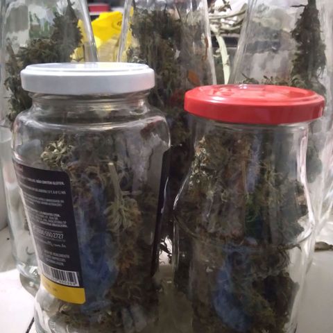 Colômbia kkau  growlog timeline photo