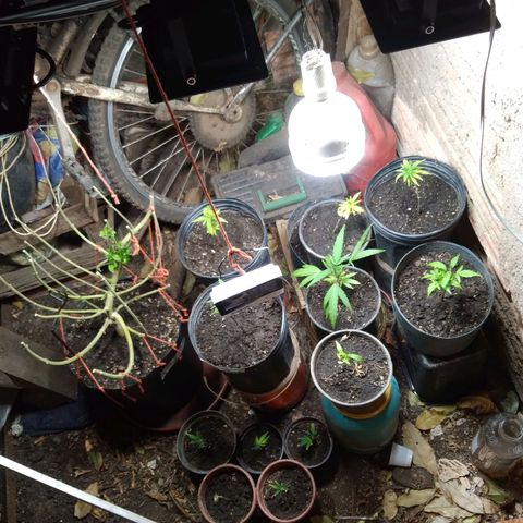 Colômbia kkau  growlog timeline photo