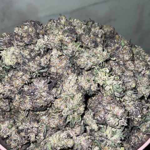 Animal Cookies growlog timeline photo