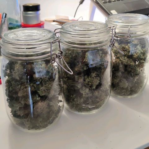 Неизвестный генетический growlog timeline photo