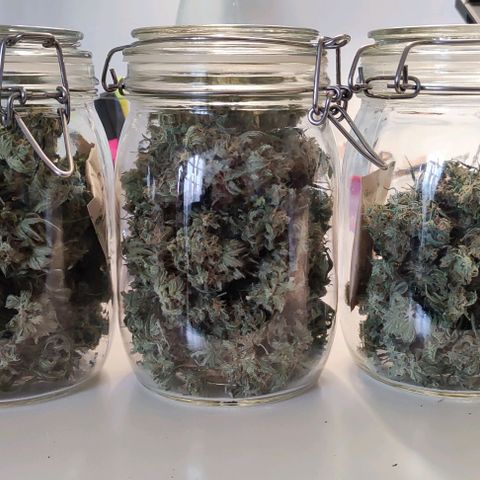 Неизвестный генетический growlog timeline photo