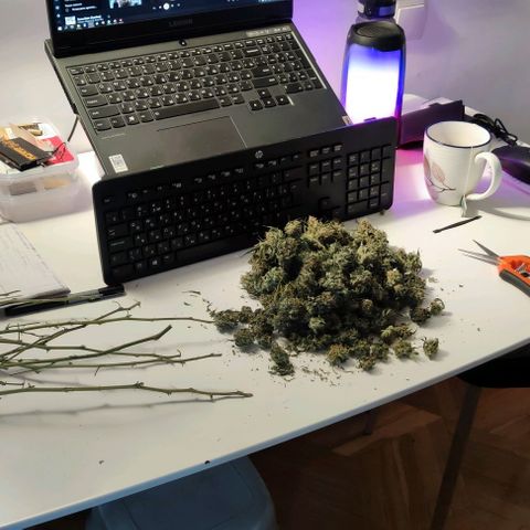 Неизвестный генетический growlog timeline photo