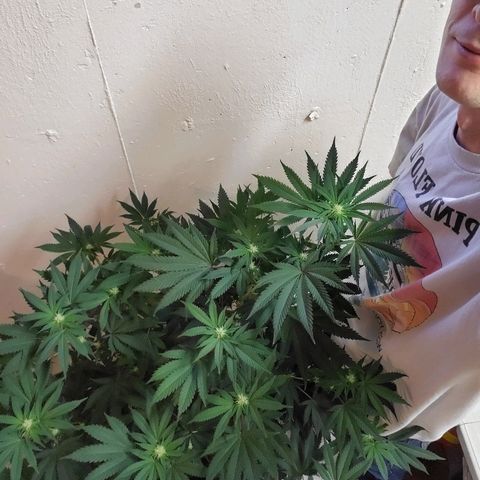 Durbie growlog timeline photo