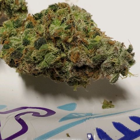Durbie growlog timeline photo