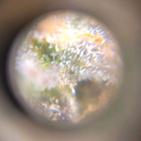 Critical Haze growlog timeline photo