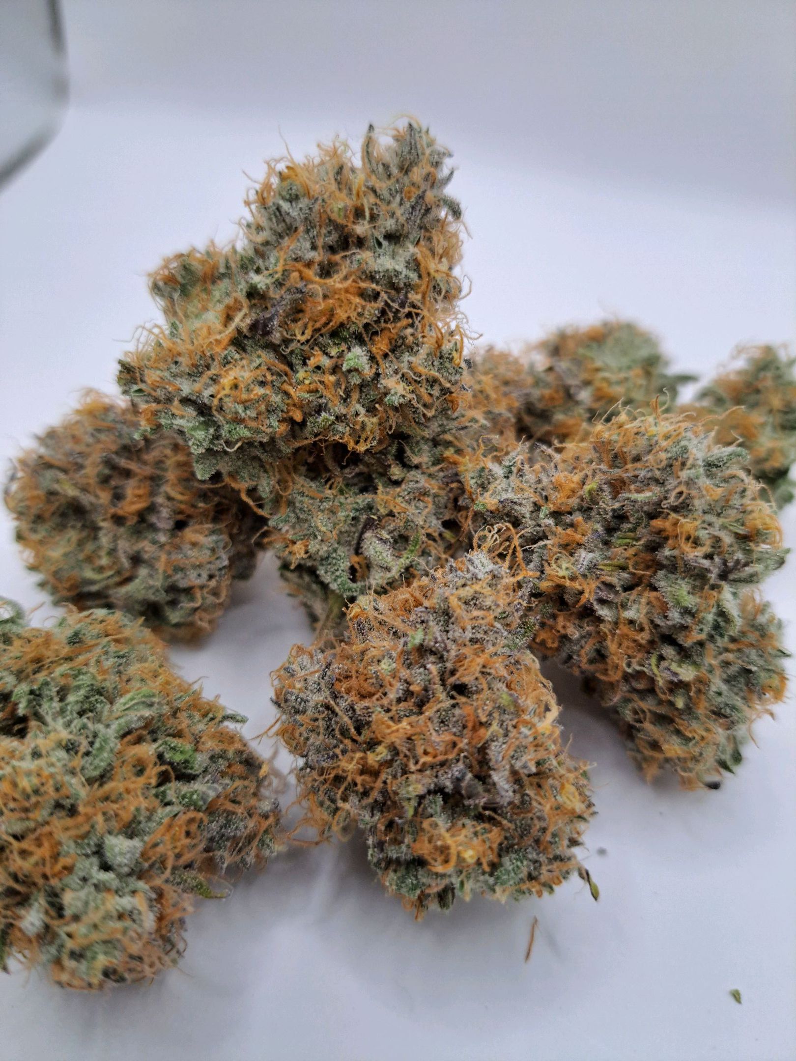 Biscotti growlog photo 73