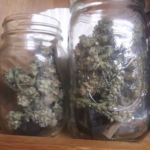 Cement Shoes  growlog timeline photo