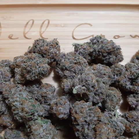 Star Buttah growlog timeline photo