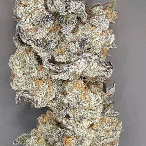 Krillans Kush  growlog timeline photo