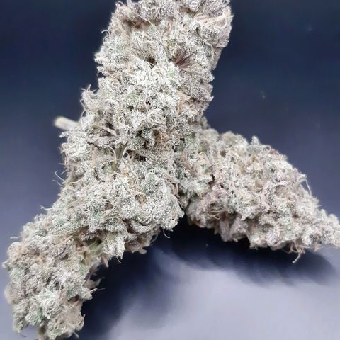 Tony Profit f3 (4) growlog timeline photo