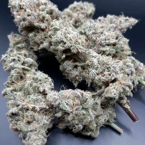 Tony Profit f3 (4) growlog timeline photo