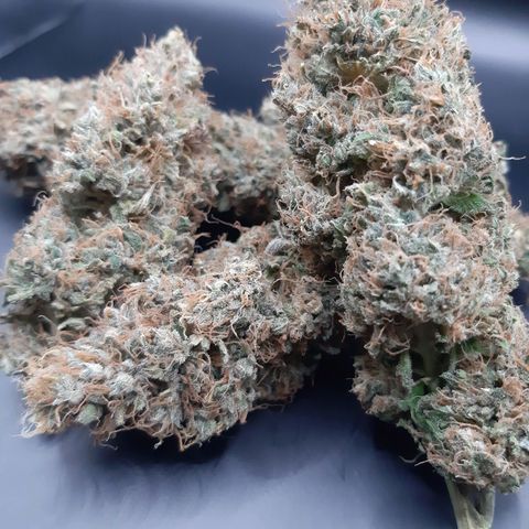 Chocolate Fire #2 growlog timeline photo