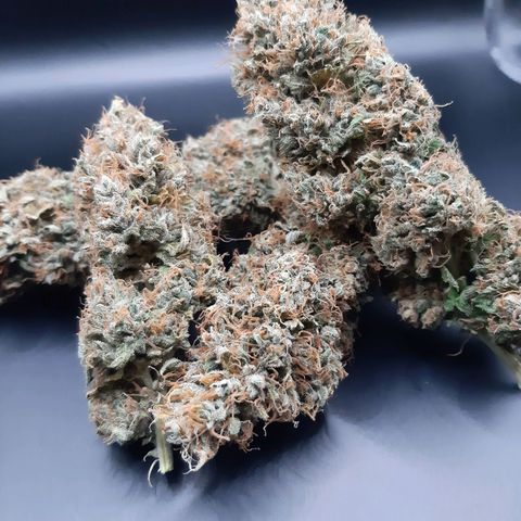 Chocolate Fire #2 growlog timeline photo
