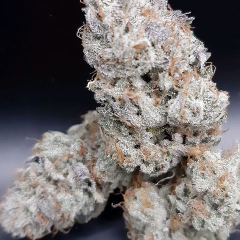 Black Queen Cookies growlog timeline photo