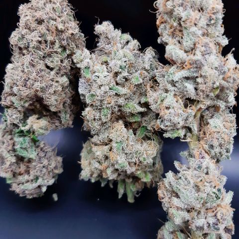 Tony Profit f3 (4) growlog timeline photo