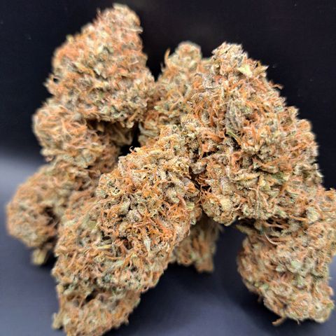 Pupil King #2 growlog timeline photo