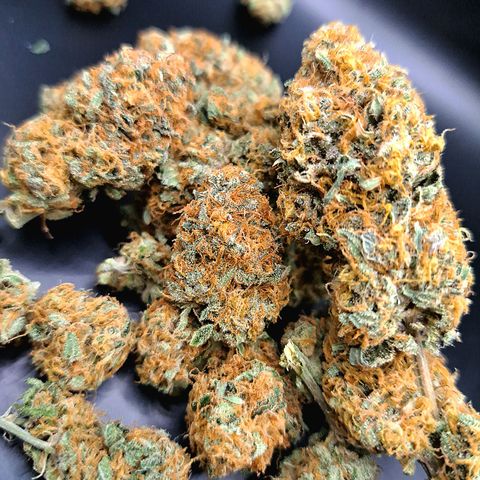 Star Pupil x Vanilla Sunbreath  growlog timeline photo