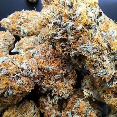 Star Pupil x Vanilla Sunbreath  growlog timeline photo