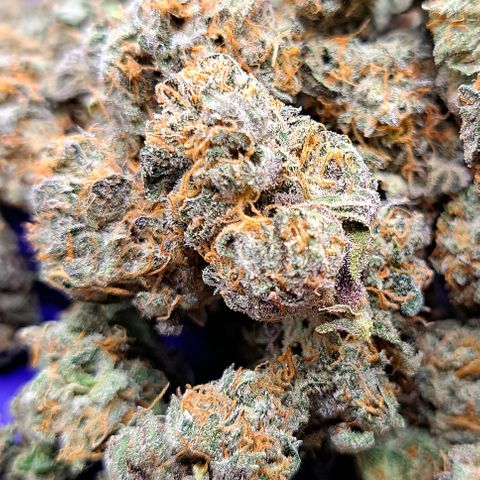 Pink Banana Trufflez growlog timeline photo