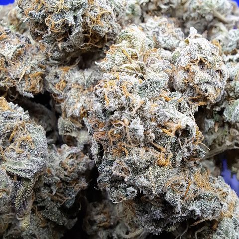 Pink Banana Trufflez growlog timeline photo