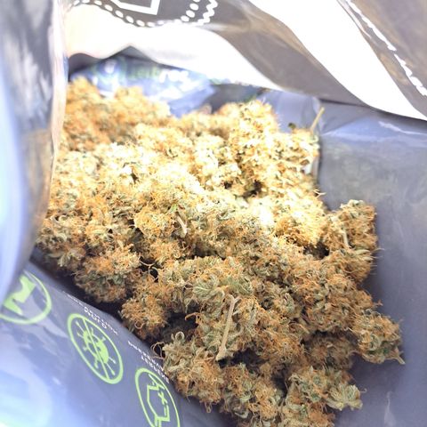 Triangle Kush (VSMKcut) growlog timeline photo