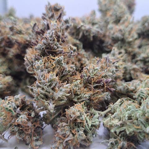 Purple Satellite x Peanut Butter Poop growlog timeline photo
