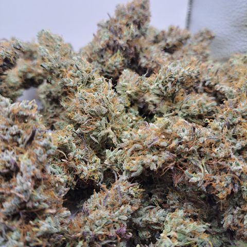 Purple Satellite x Peanut Butter Poop growlog timeline photo