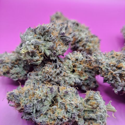 Malibu's Most Wanted growlog timeline photo