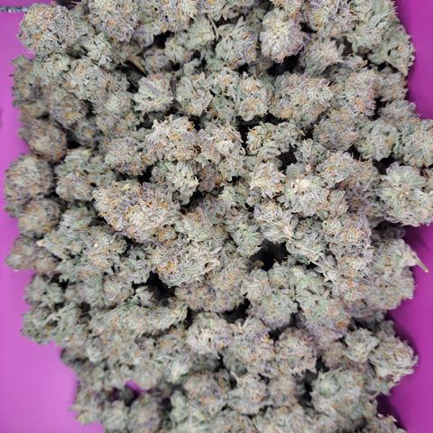Malibu's Most Wanted growlog timeline photo