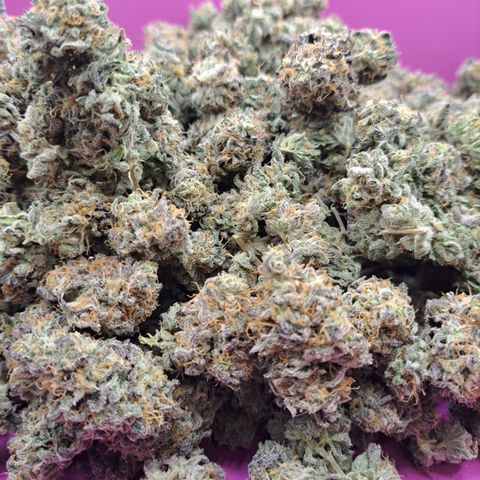 Malibu's Most Wanted growlog timeline photo