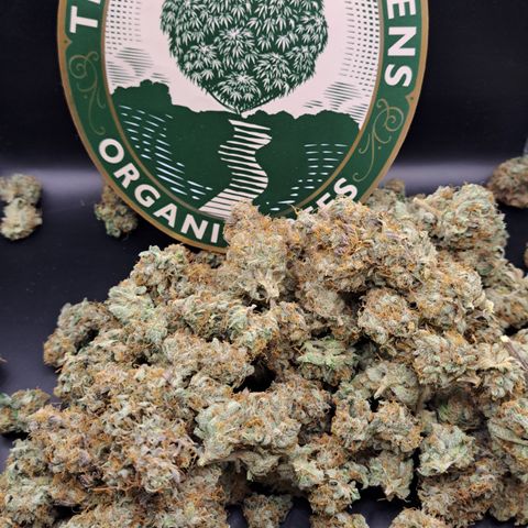 Mean Dawg by TreeOfLifeGardens  growlog timeline photo