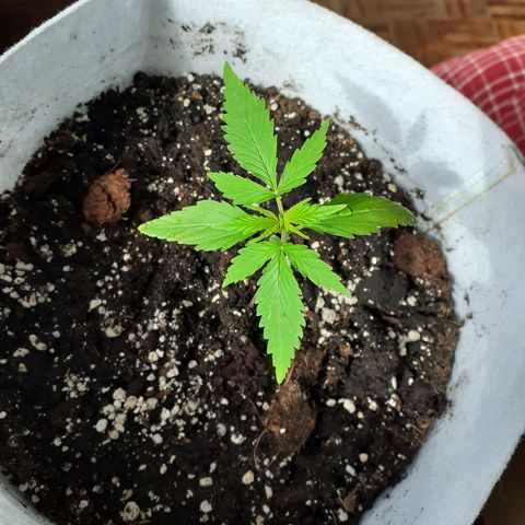 Juana semmpre puttana growlog photo: Que bonita mi juanita😍