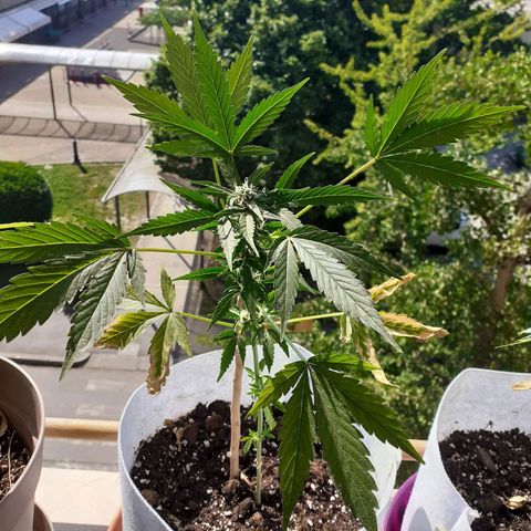 Juana semmpre puttana growlog photo: Ahi que bonita😛