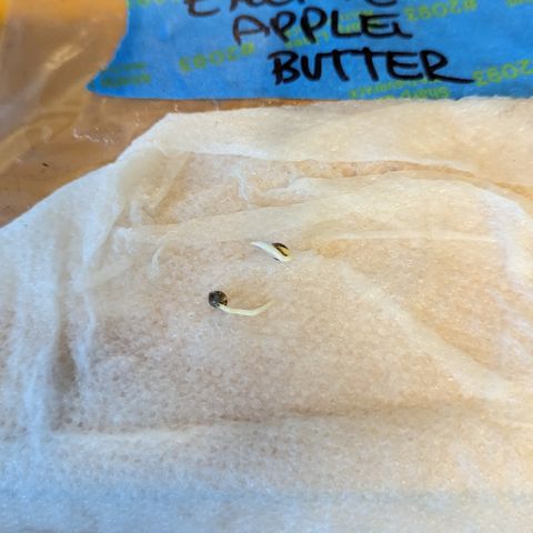 EAB #1 growlog timeline photo