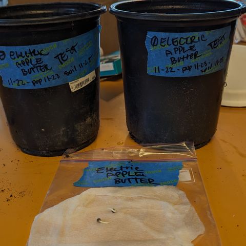 EAB #1 growlog timeline photo