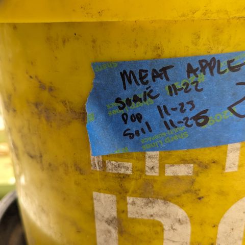 Meat Apple #2 growlog timeline photo