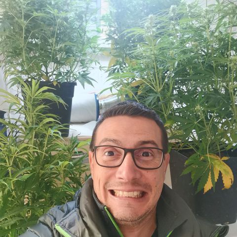 Pineapple Express Auto growlog timeline photo