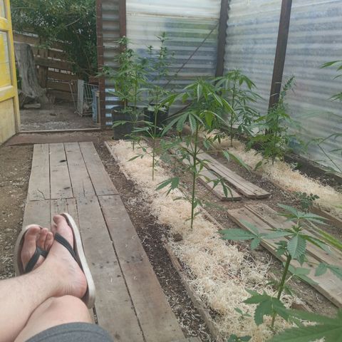 Las 9 valientas growlog timeline photo