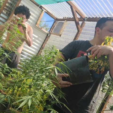 Las 9 valientas growlog timeline photo