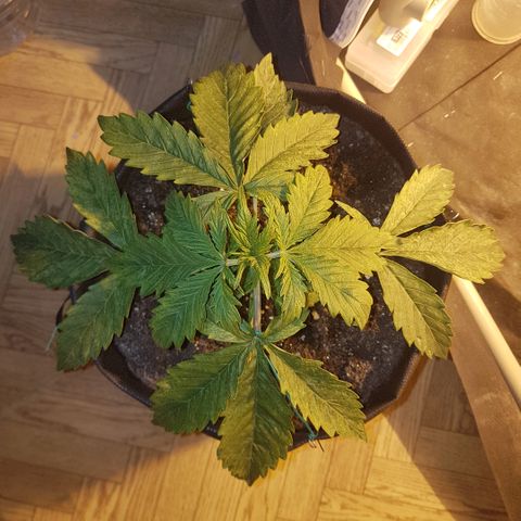 Jacky growlog timeline photo