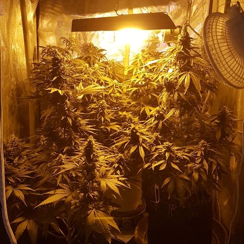 Jacky growlog timeline photo