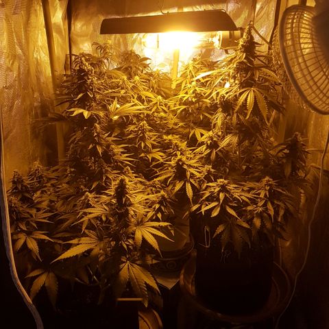 Jacky growlog timeline photo