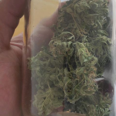 Genética desconocida growlog timeline photo
