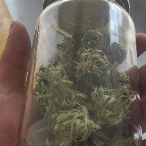 Genética desconocida growlog timeline photo