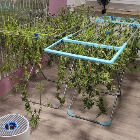 Monster Mom growlog timeline photo