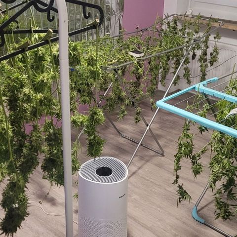 Monster Mom growlog timeline photo