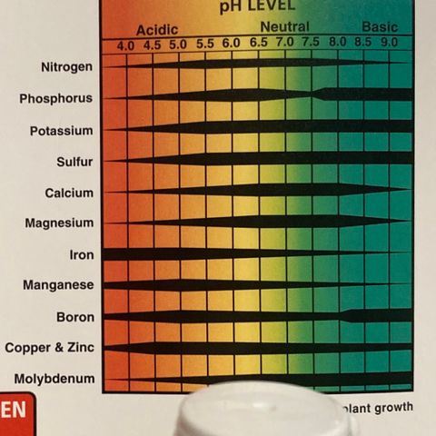 ZKittles 007 growlog photo: Poland Spring Water 7.5 - 8.5 Ph. Roots in all pots reaching for outside smart pot. Soil is dry and clumpy outside of plant ring. Need to water more evenly.