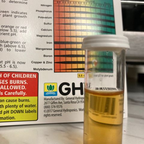 ZKittles 007 growlog photo: Water Run Off 6.0 Ph