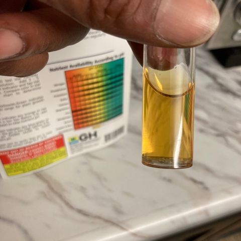 ZKittles 007 growlog photo: Water Run Off 6.0 Ph