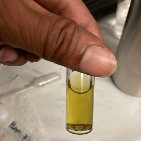 ZKittles 007 growlog photo: Water Run Off 6.0 Ph